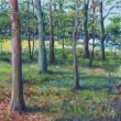 2012, Lesopark u Schwarzenbersk� hrobky, olej na pl�tn� 40x40cm