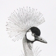 2007, Inkoust na pap��e, 20x26cm